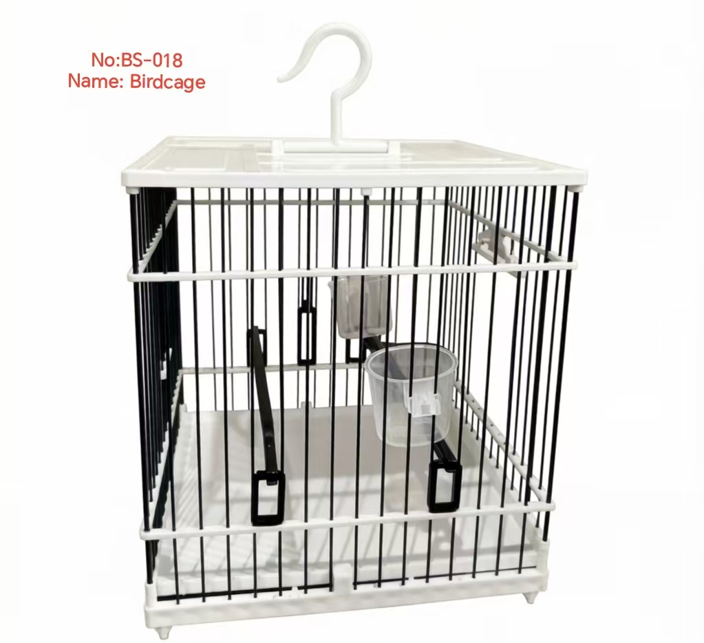 No：BS-018.jpg